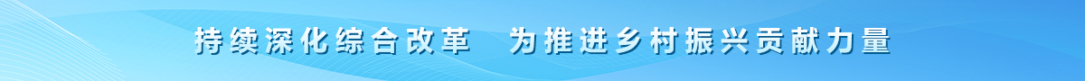 持续深化综合改革  为推进乡村振兴贡献力量