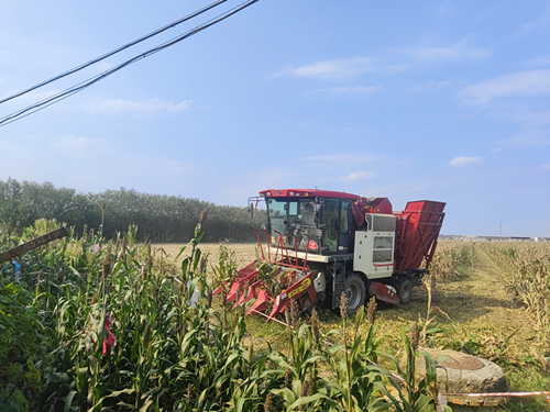 淮北市供销社全链条服务秋收秋种工作