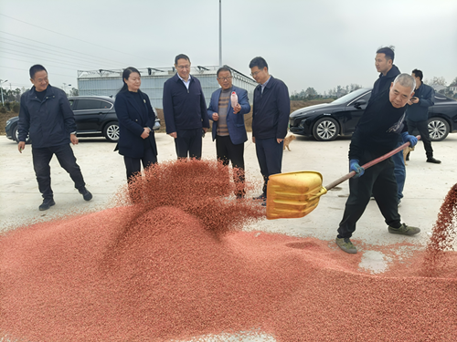 市供销社、市农业农村局赴烈山区联合督导服务秋种工作